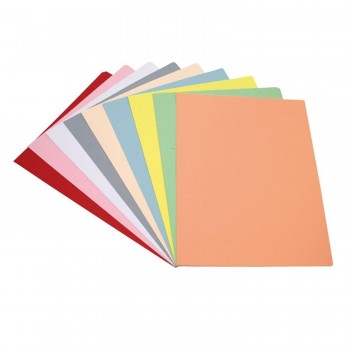 SUBCARPETAS LR FOLIO KRAFT 180GR UND