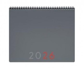 PLANIFICADOR CALENDARIO MES VISTA NOTAS 2026 GRIS INTL